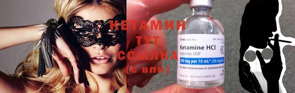 крисы Аркадак
