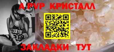 скорость Кингисепп