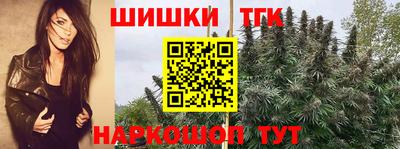 скорость Кингисепп