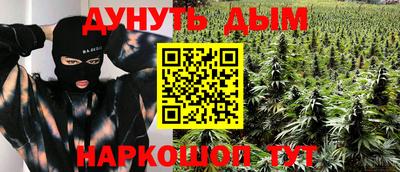 скорость Кингисепп