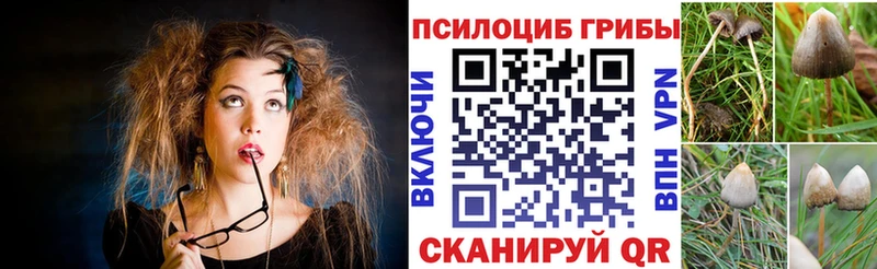 Галлюциногенные грибы мицелий  МЕГА как войти  Лесной 