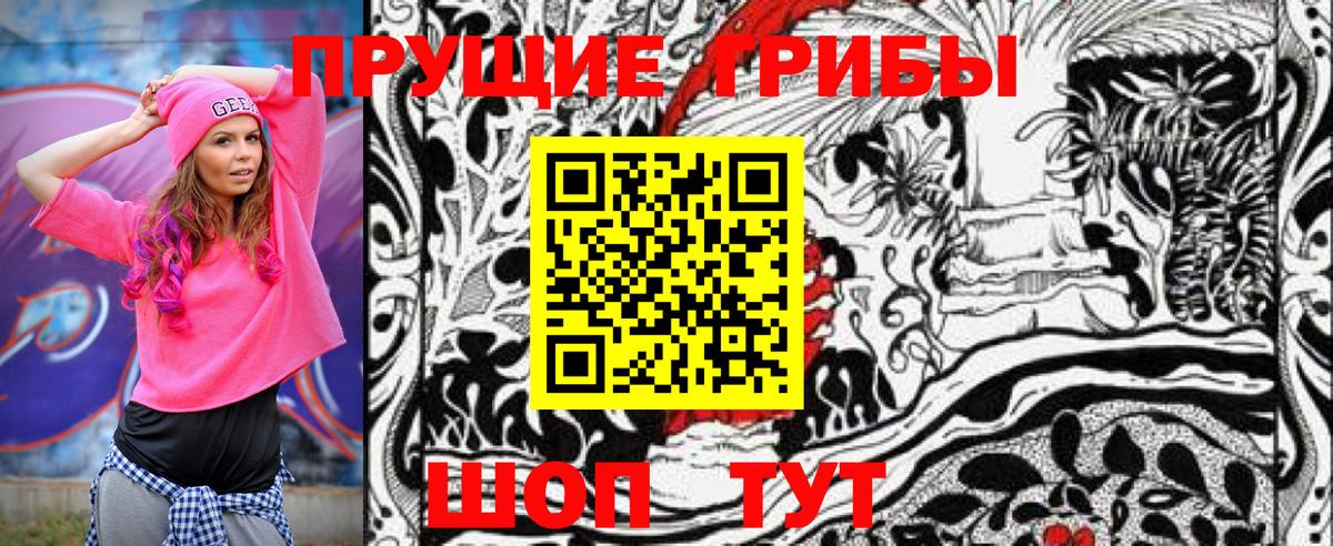 Галлюциногенные грибы Psilocybine cubensis  купить закладку  Лесной  Вход с VPN 