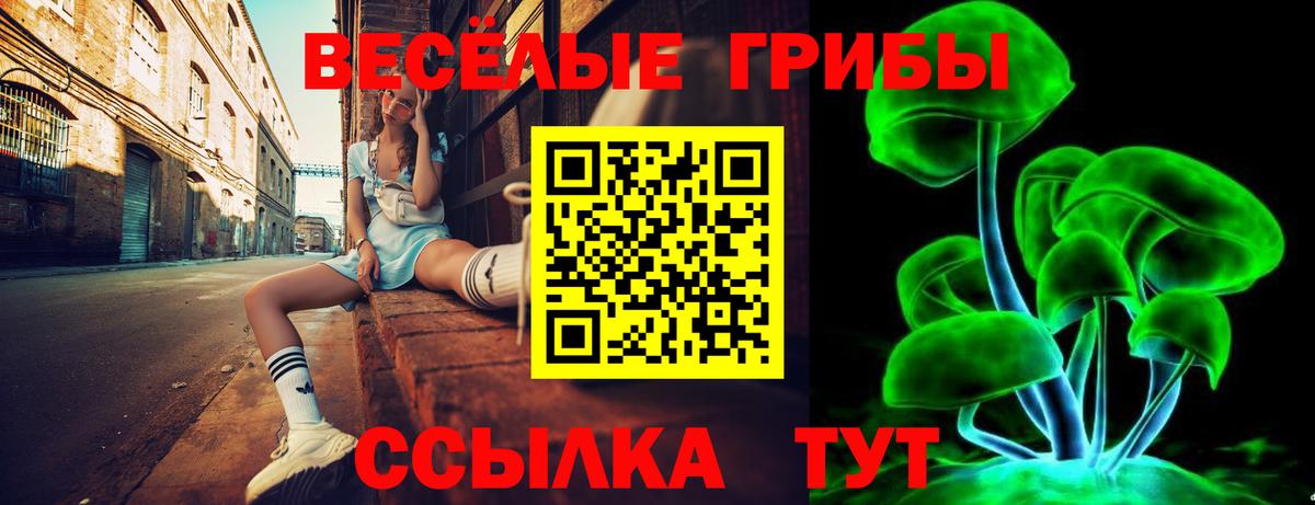 Псилоцибиновые грибы GOLDEN TEACHER Лесной